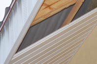 rated Mumbles Hill soffit repair companies